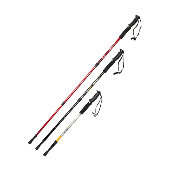 Triad Hiker's Lightweight Aluminum Trekking Staff