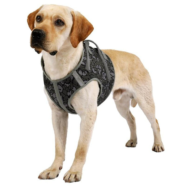 Large Dog Harness - Adjustable Pet Walk Out Vest